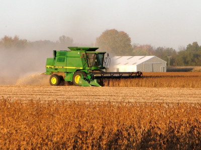 The soybean harvest adds volume and alters the market